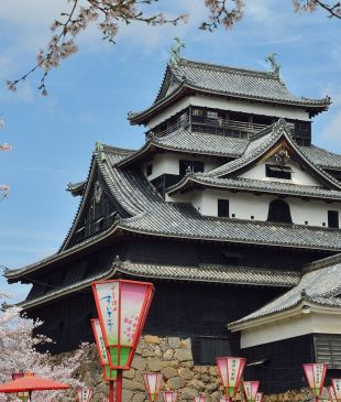 <p><i>8 experiences to help you discover the history and culture of</i> <strong>Japan</strong></p>