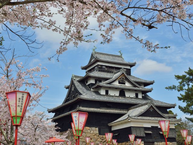 Matsue Castle with Cherry Blossoms (Matsue, Shimane Prefecture)