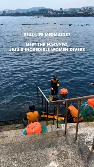 Real-life mermaids? Meet the haenyeo, Jeju Island’s incredible women divers