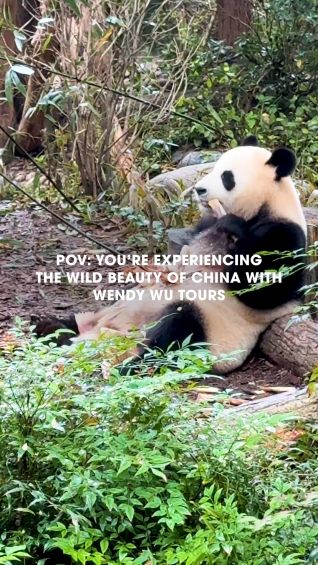 POV: you experience the wild beauty of China
