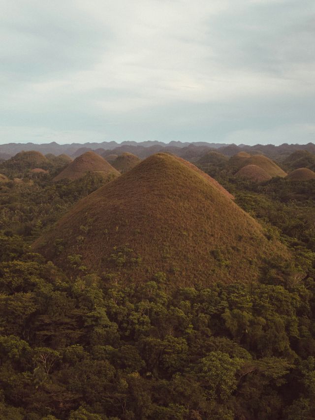 Chocolate Hills in Bohol