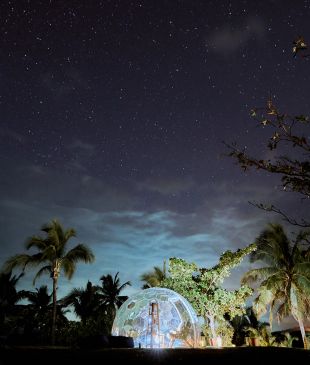 <p><i>Champagne </i>and <i>constellations</i>: discovering <strong>Fiji</strong> after dark</p>
