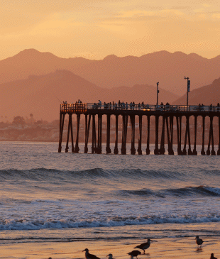 <p><strong>America’s </strong>best <em>beach town</em> for 2026 has <em>coastal cliffs </em>and a <em>butterfly grove</em></p>