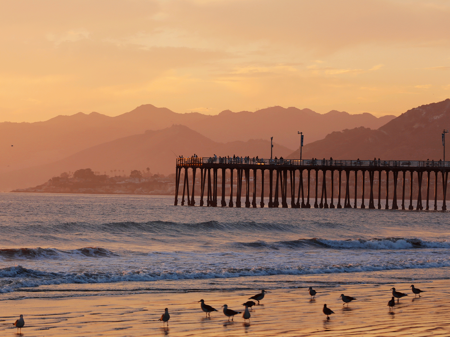 pismo beach pier