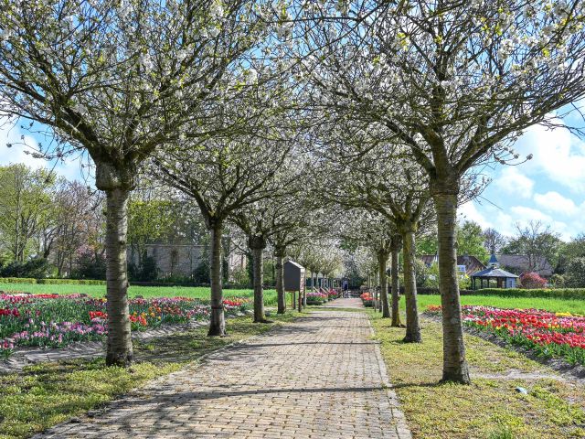 Hortus Bulborum, Limmen