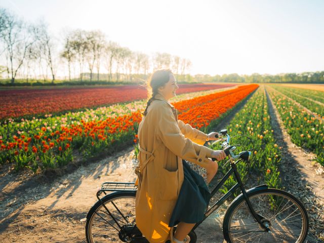 Tulip farm bike tour, Lisse netherlands
