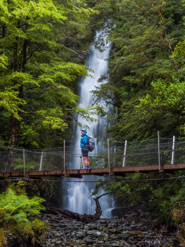 little homer falls hollyford valley walk