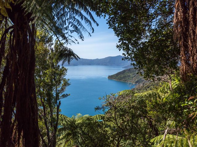 Queen Charlotte track landscape, Picton, New Zealand