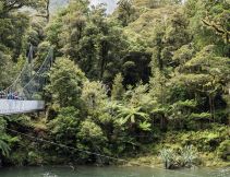 Pyke River Swing Bridge along hollyford valley walk