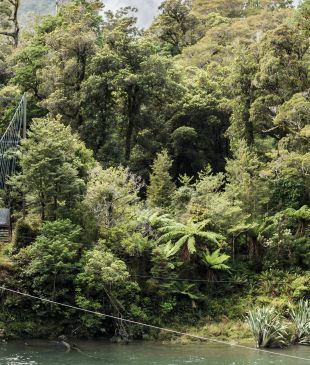 <p><i>Beyond</i> <strong>Milford Sound</strong>: The <strong>NZ Fiordland</strong> experience you need to know about</p>