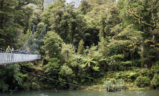 Pyke River Swing Bridge along hollyford valley walk