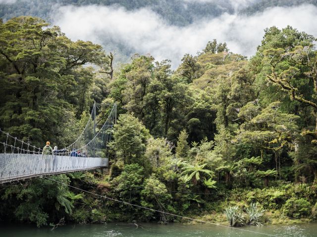 Pyke River Swing Bridge along hollyford valley walk