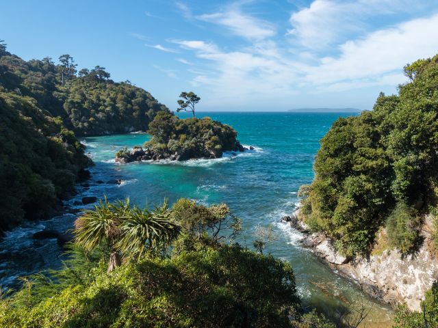 Aerial view of rugged coastline of Stewart Island (Rakiura) in New Zealand with tropical rainforest