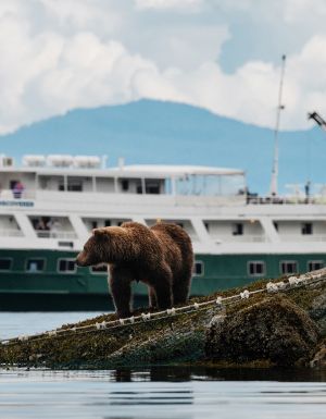 Uncruise ship in Glacier Bay National Park, Alaska