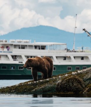 <p><i>Fire or ice</i>: discovering two of the most captivating destinations in the <strong>Pacific</strong></p>