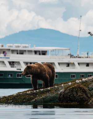 Uncruise ship in Glacier Bay National Park, Alaska