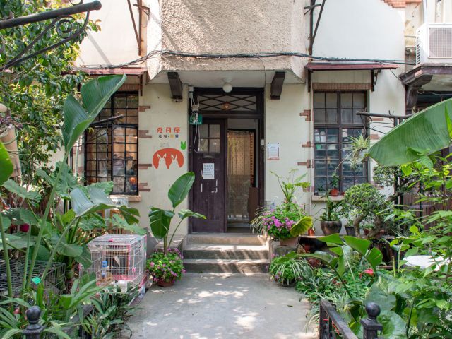 Rabbit Moon House, Shanghai