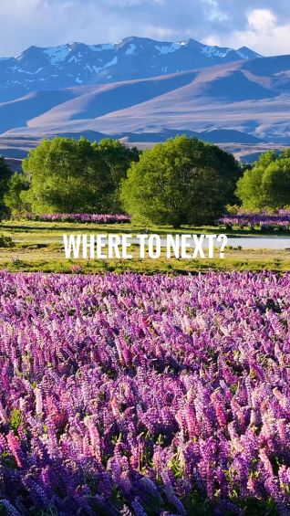 Where to Next? New Zealand
