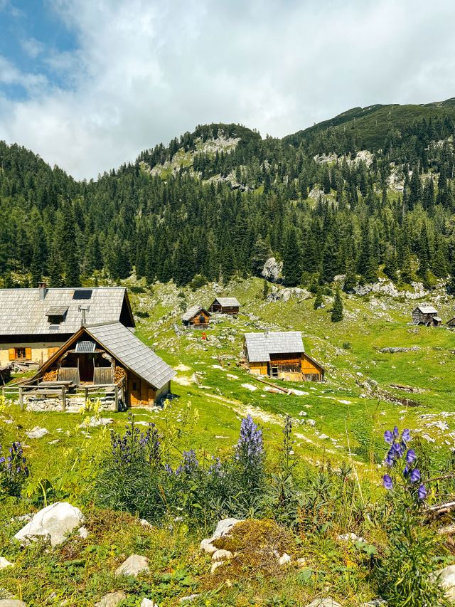 the Slovenian Alps