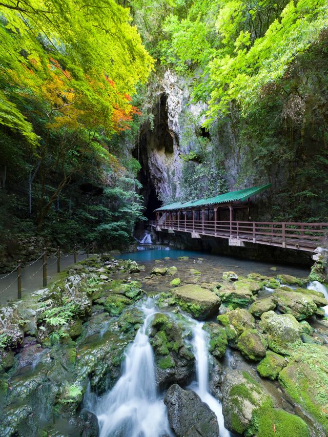 Entry bridge over blue water to Akiyoshido Cave (Yamaguchi), Japan