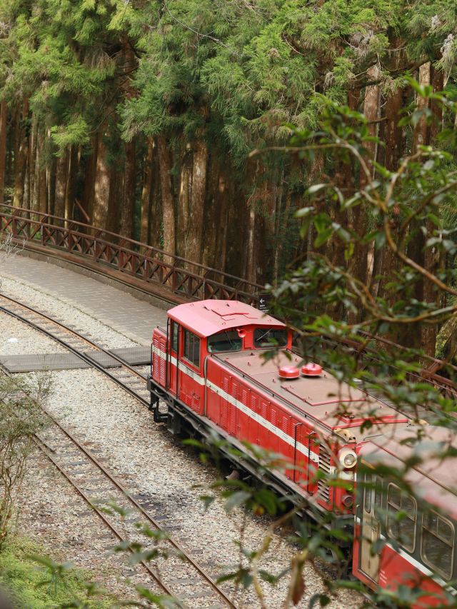 Alishan Forest Railway