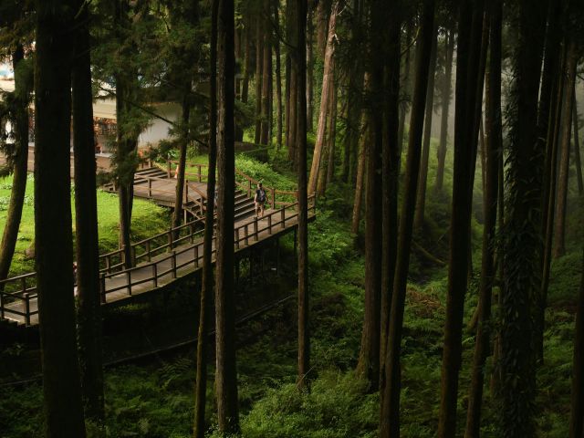 Man in Alishan Forest Recreation Area