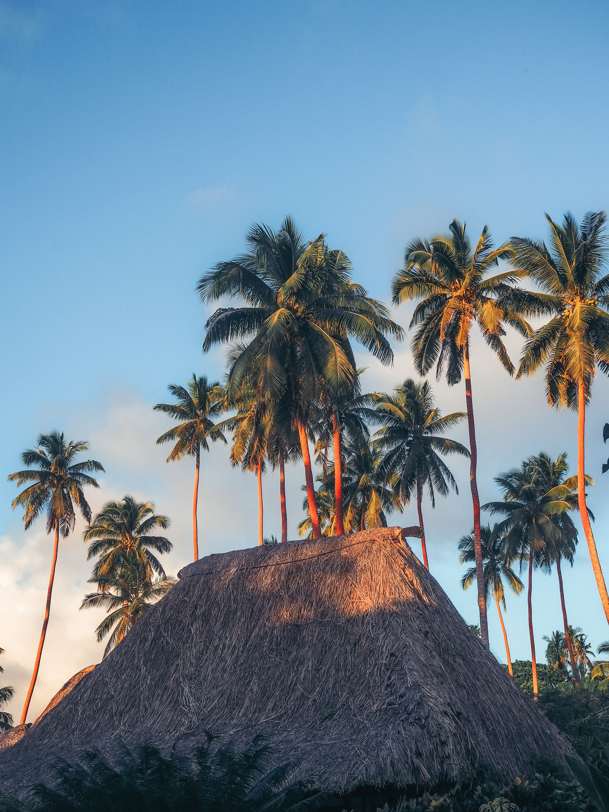 Jean-Michel Cousteau Resort's traditional thatched roof