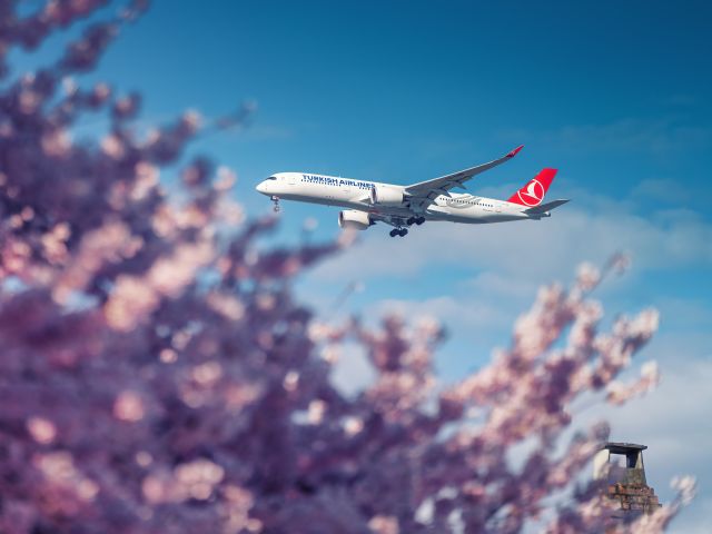 Turkish Airlines