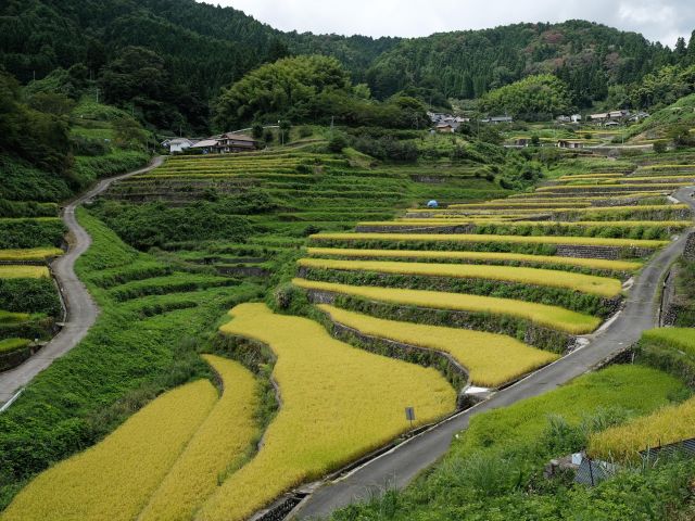 Hiroshima prefecture's