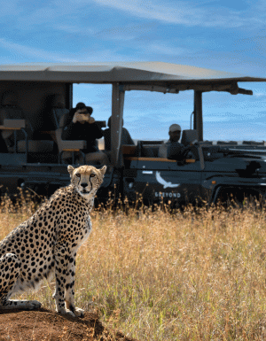 10 multi-gen holidays to bring the whole family together 