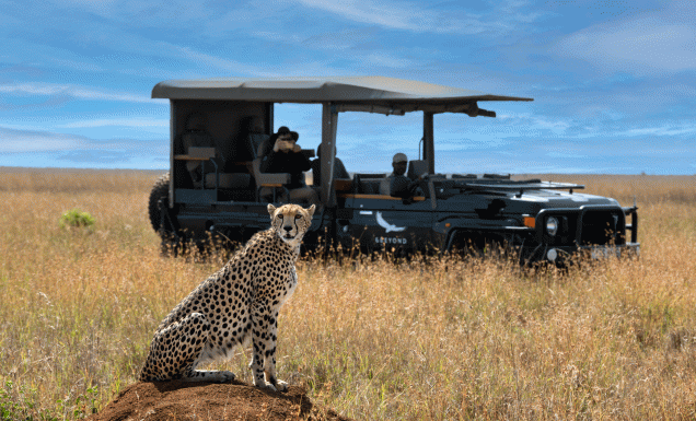 10 multi-gen holidays to bring the whole family together