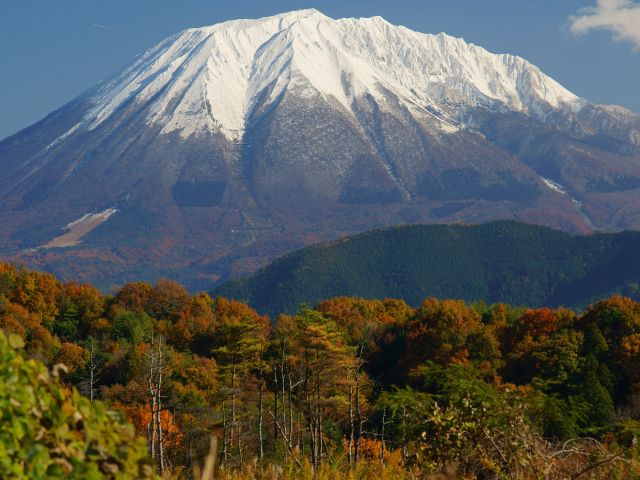 Snowcapped Mt. Daisen and neighbor forest with fall foliage