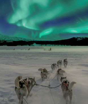<p><span data-teams="true"><em>Chase the Glow</em>: Discover the ultimate <strong>Northern Lights</strong> <i>itinerary</i></span></p>