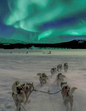 Chase the Glow: Discover the ultimate Northern Lights itinerary