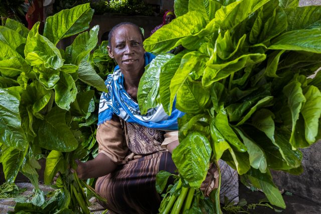 West Africa portrait