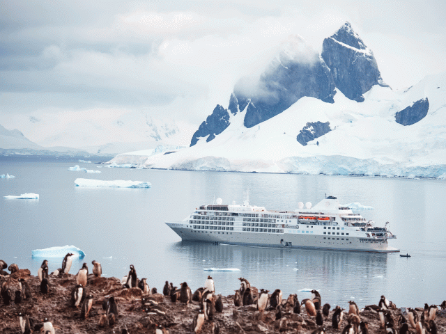 Antarctica cruise