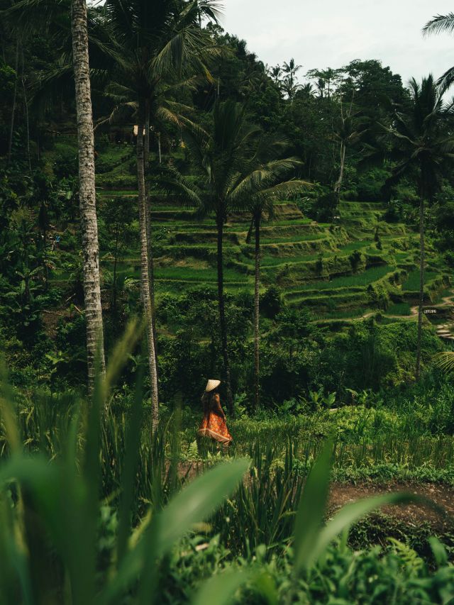 Bali