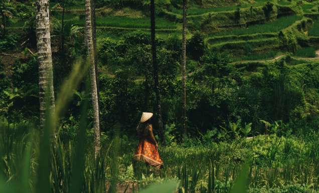 close-to-home holidays