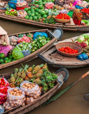 floating market, Mekong River Delta, Vietnam with distant journeys tour