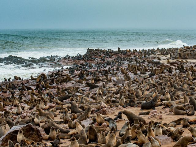 Skeleton Coast, Namibia