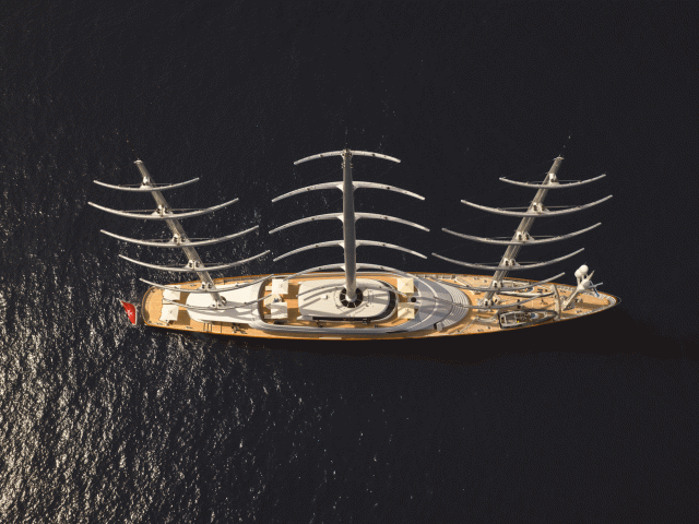 Maltese Falcon