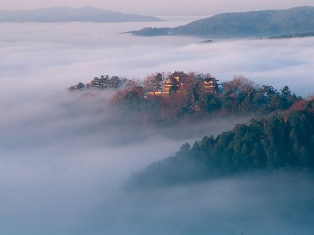 Bitchu Matsuyama Castle in a sea of clouds