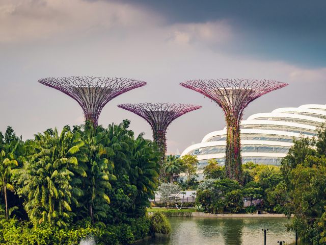 Supertrees and the Flower Dome at Gardens by the Bay in Singapore