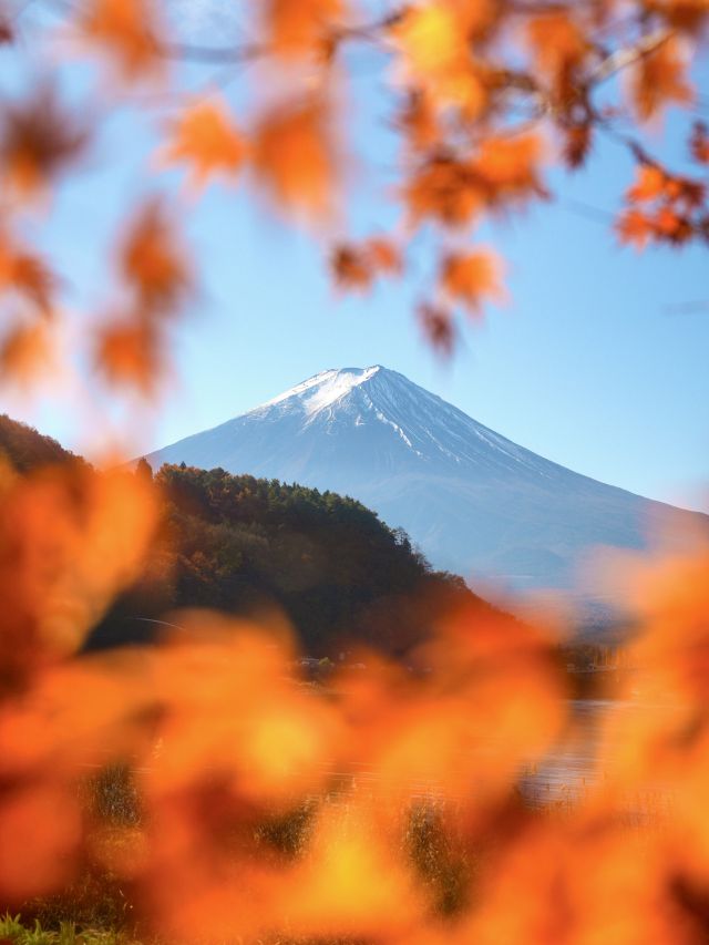 Mt Fuji in autumn