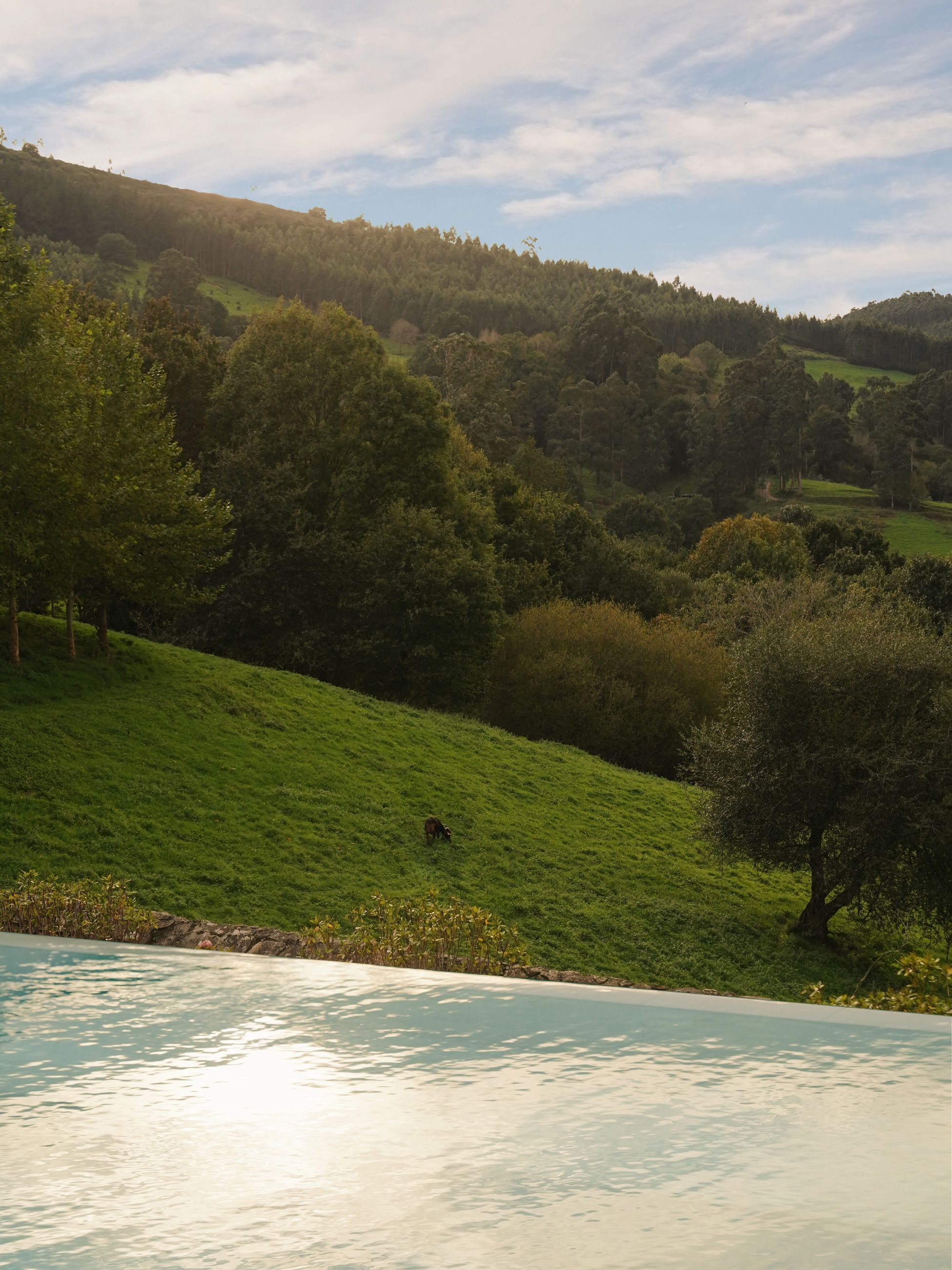 Views from the outdoor pool at Helguera Palacio Boutique & Antique