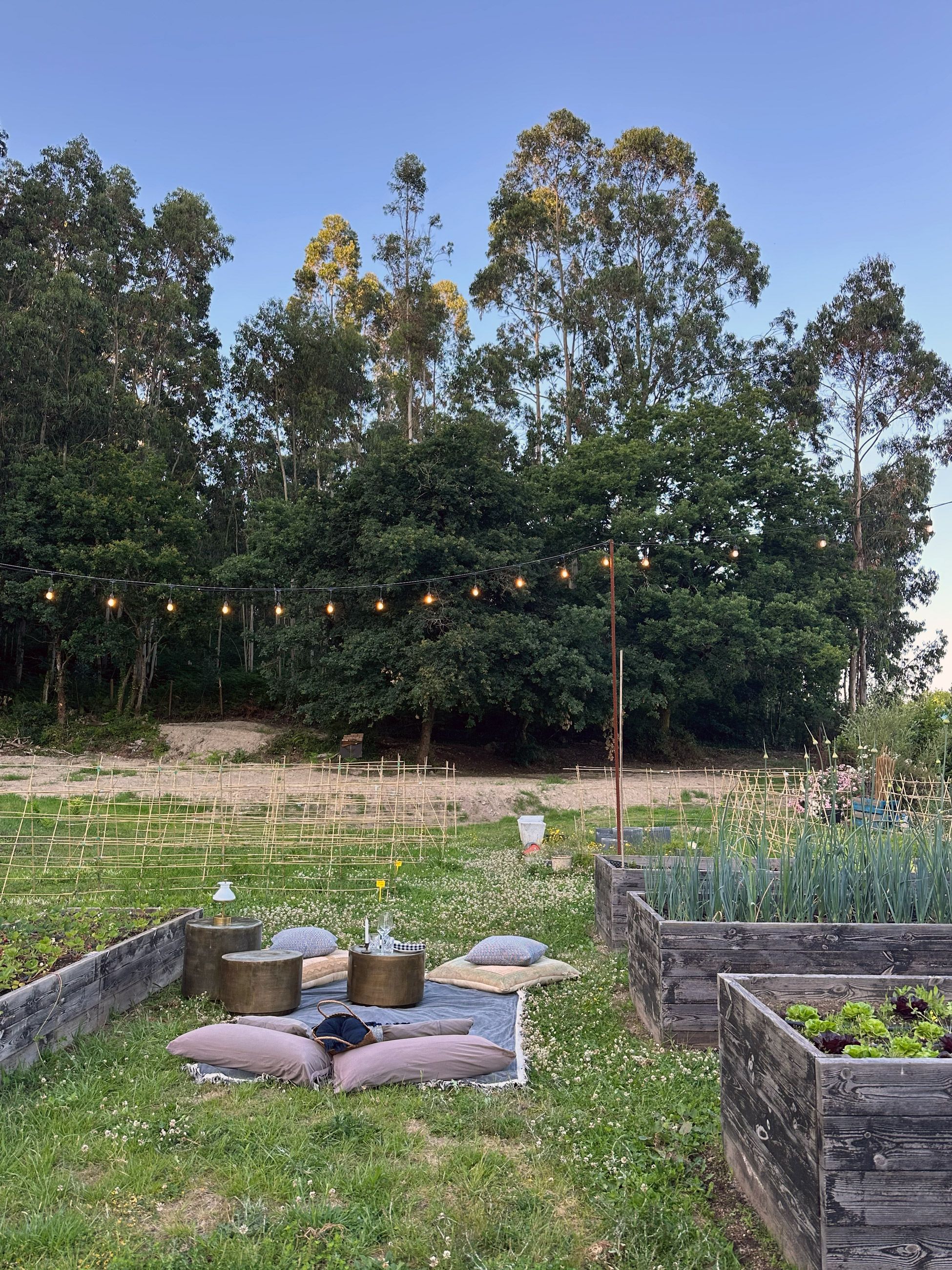 Alfresco dining at Pepe Vieira