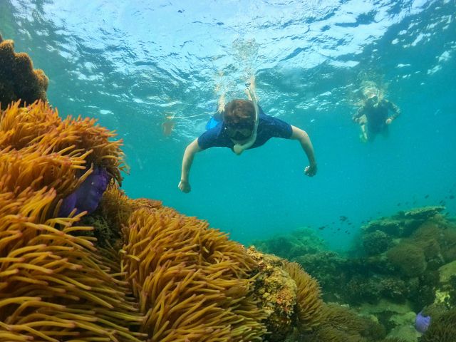 snorkelling in Phu Quoc Island, Vietnam
