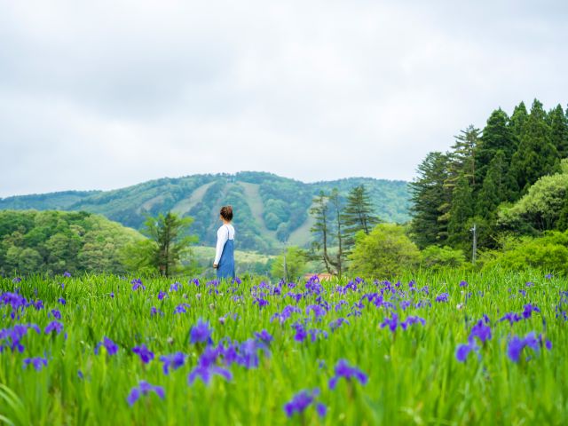 woman walking in Yawata Wetlands