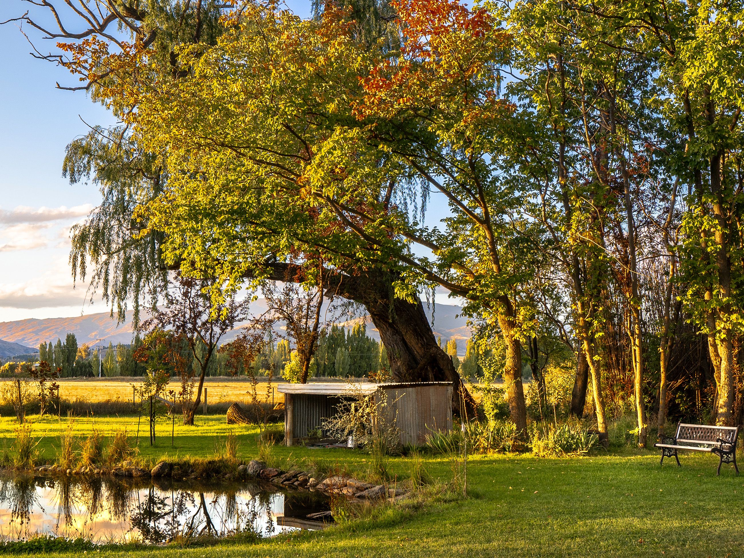 castle grounds